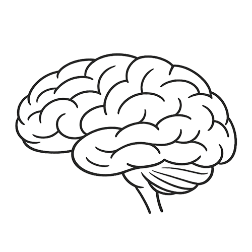 Chemobrain Study